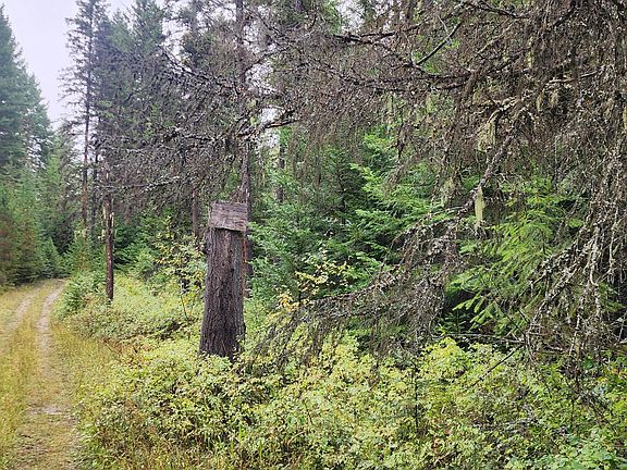 2nd image of Smackout Creek Rd