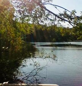 2 Flax Pond Road, Orleans, MA, 02653