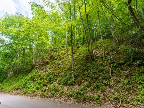 LOT 12 Zurich Rd, Gatlinburg, TN 37738