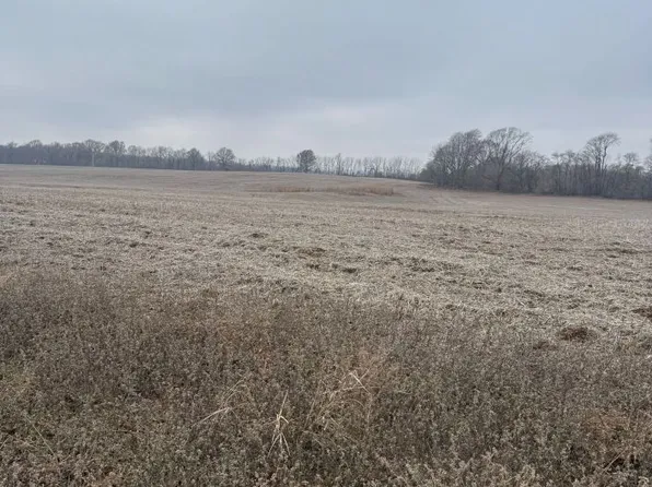 County Road 659, Dexter, MO 63841