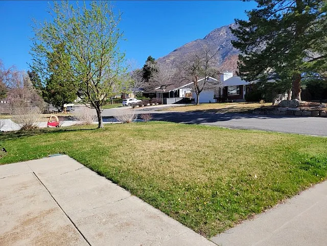 Beautiful view front yard