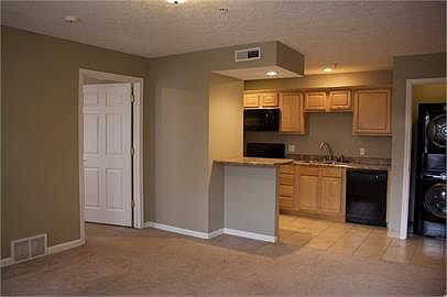 Living room and kitchen
