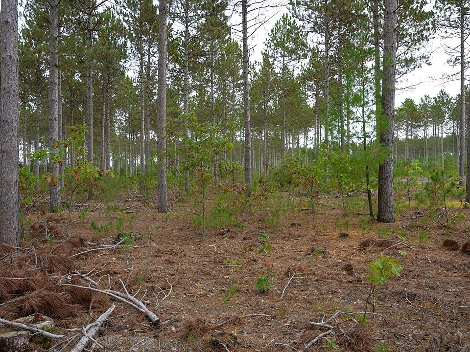 1st image of LOT 8 Bollig