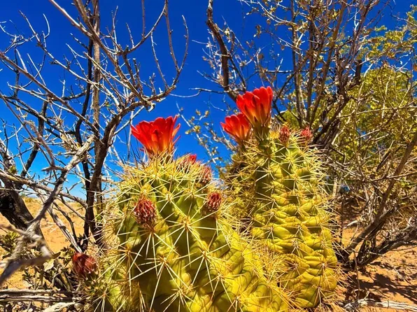 5201 Tamara Dr, El Paso, TX 79938