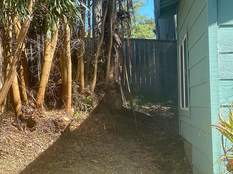 312 Grandview Rd — Photo 5
