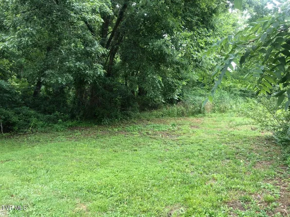 Hamblen St S, Big Stone Gap, VA 24219
