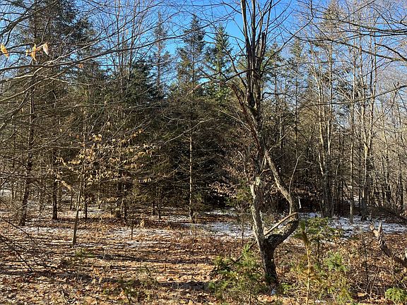 4th image of 325 Lafaver Rd #1