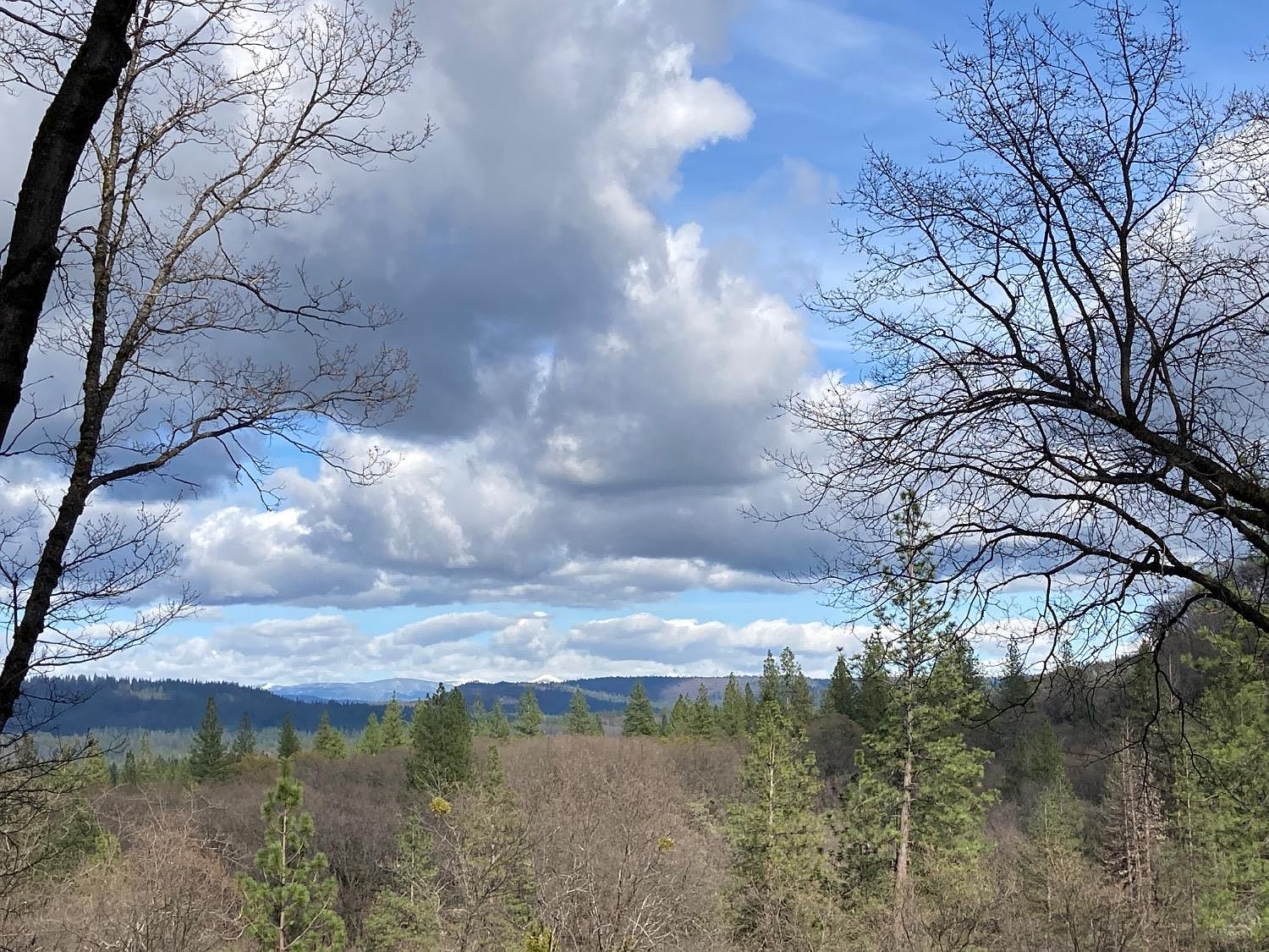 11337 Golden Oaks Ct, Nevada City, CA 95959 | Zillow
