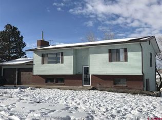 67345 Leadville Ct, Montrose, CO 81401