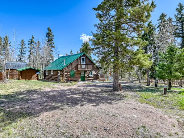 33 Friar Tuck Dr, Divide, CO 80814