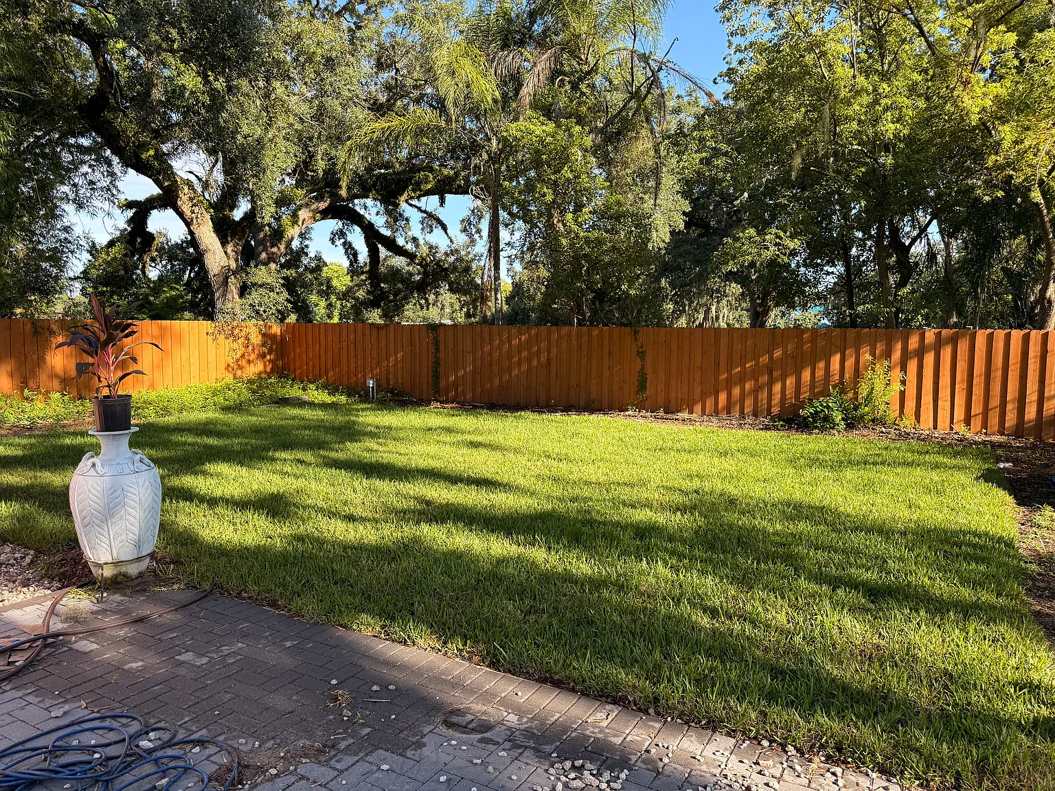 3 bed, 1531 sqft, $3,300 — Photo 4