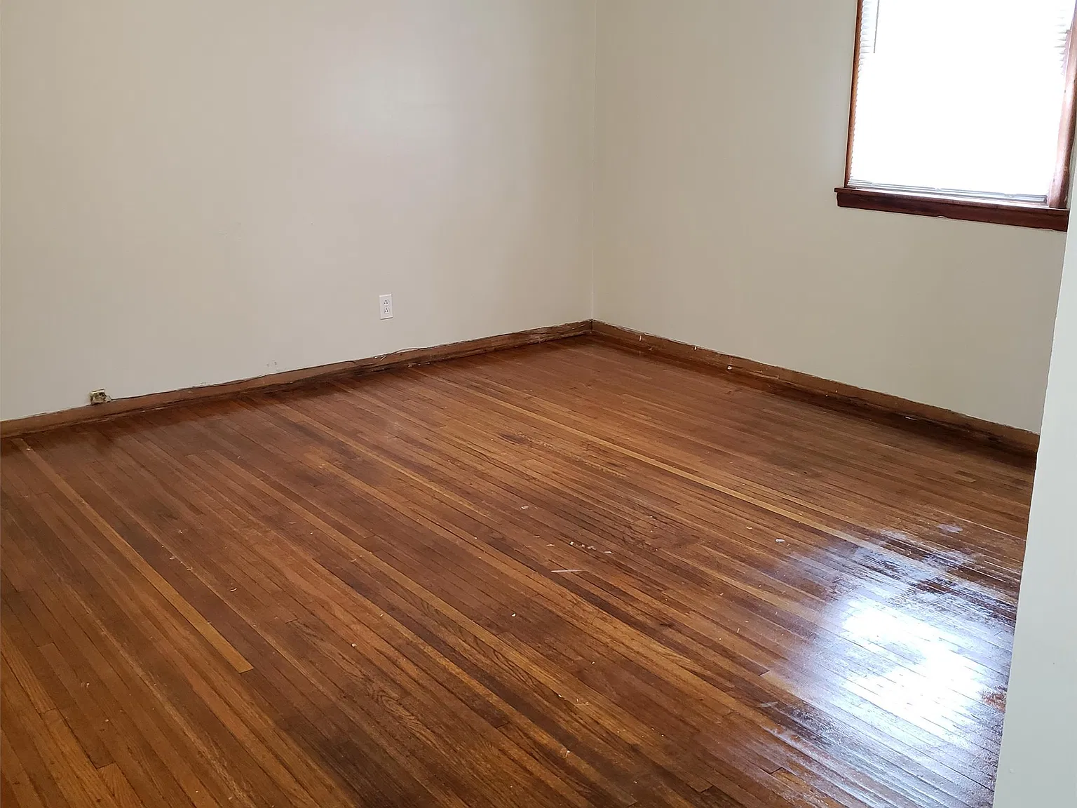 816 Mamie — Photo 2