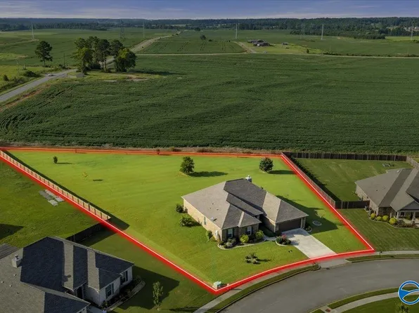 16979 Fieldway Cir, Harvest, AL 35749