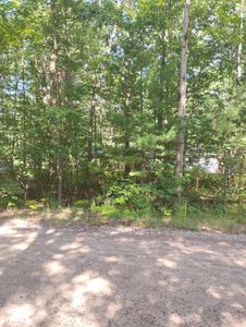 V/l 33ac W Ausable Rd, Roscommon, MI, 48653