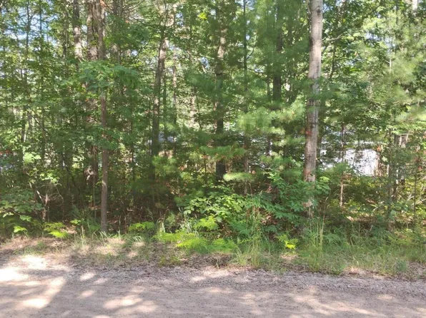 V/l 33ac W Ausable Rd, Roscommon, MI 48653