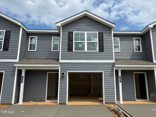31 Teagans Ter, Jonesborough, TN 37659