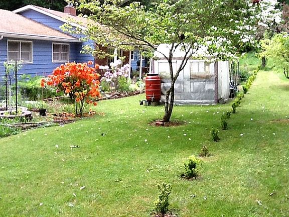 From Front corner of yard