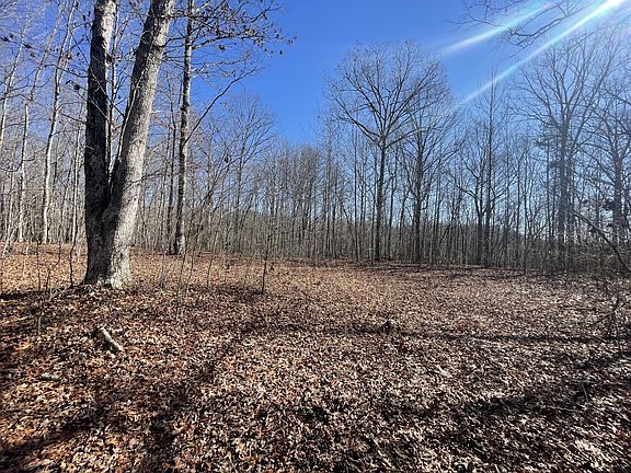 3rd image of 225 Haven Ln