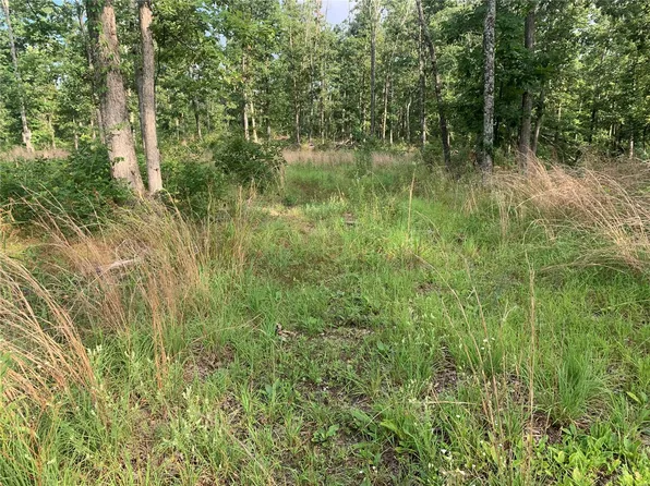 0 Highway 19, Salem, MO 65560