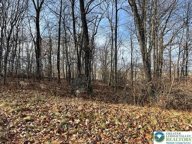 2nd image of 81 Shepherds Hill Dr Lot 9