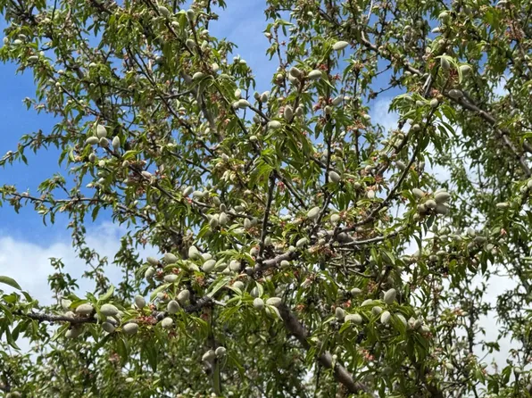 Keys Rd, Pleasant Grove, CA 95668