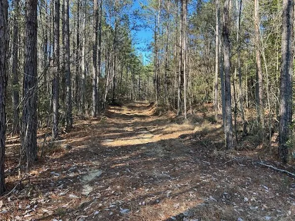 Chicora River Rd, Waynesboro, MS 39367