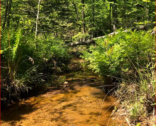 4th image of 43 County Road 1585