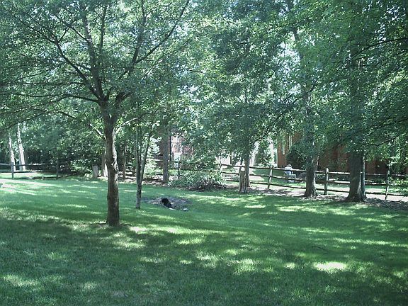 Nearly a 1/2 Acre Lot