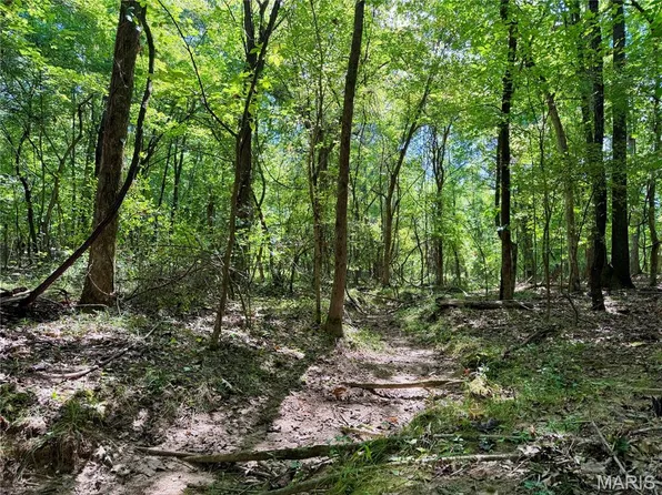 19137 County Road 268, Bloomfield, MO 63825
