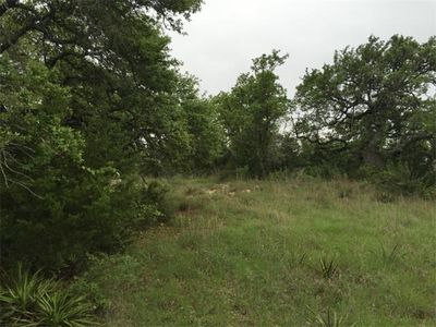410 Harmon Hills Rd, Dripping Springs, TX, 78620