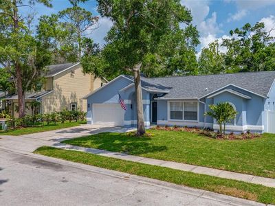 6031 65TH AVENUE N, Pinellas Park, FL, 33781