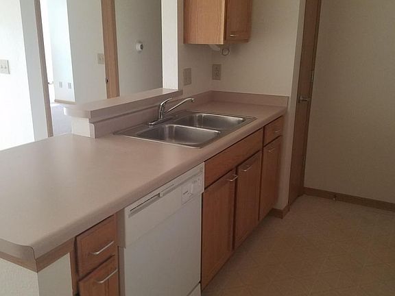 Dishwasher and Sink w/ disposal