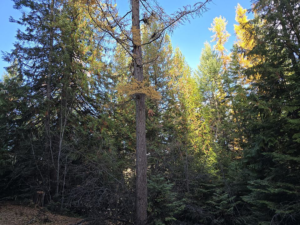 2nd image of 20 Summit Valley Rd