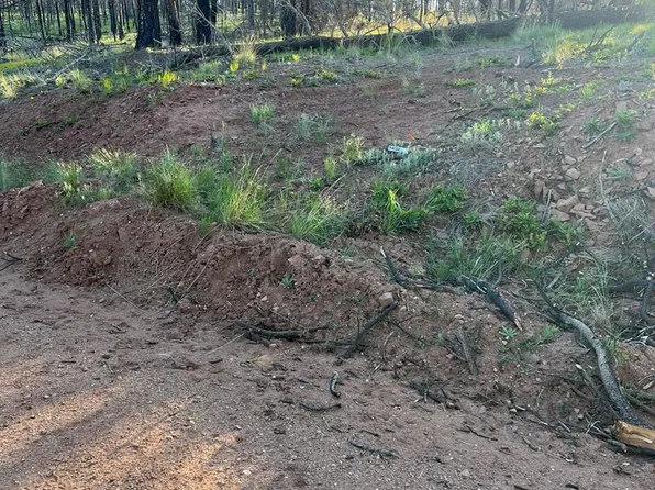 LOT 542 Forbes Rd, Fort Garland, CO 81133