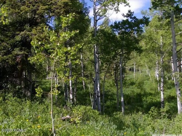 1869 Elk Rd, Coalville, UT 84017