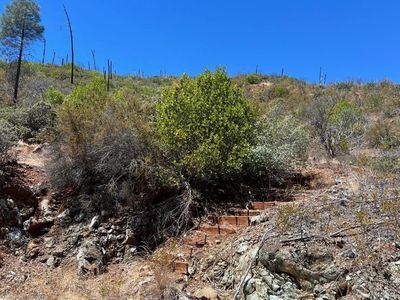 0 Butts Canyon Road, Pope Valley, CA, 94567