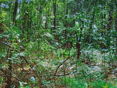 Oak Knoll Rd, Abita Springs, LA, 70420