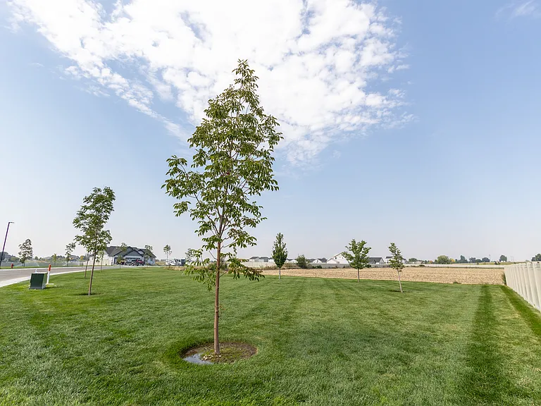 3540 W Early Light Dr — Photo 25