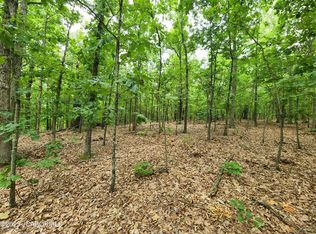 8 Copperstone Rd, Camdenton, MO 65020