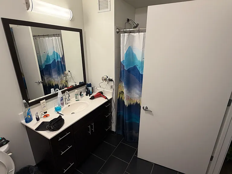 3741 N Halsted St #813 — Photo 1