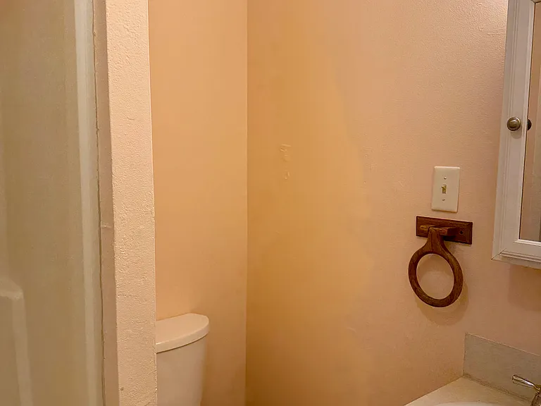 216 Camellia Dr — Photo 9