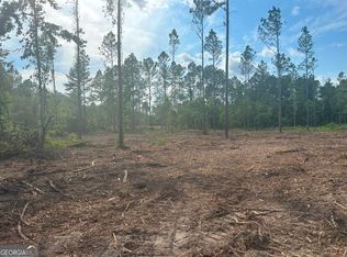 0 Dublin Bed Power Line Rd LOT 4, Pembroke, GA 31321