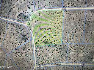 20 County Rd, Concho, AZ 85924