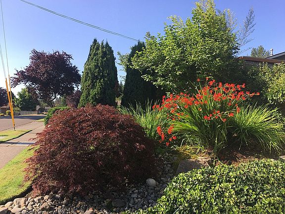 Side garden