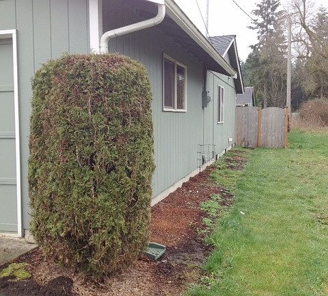 2nd image of 420 175th St S