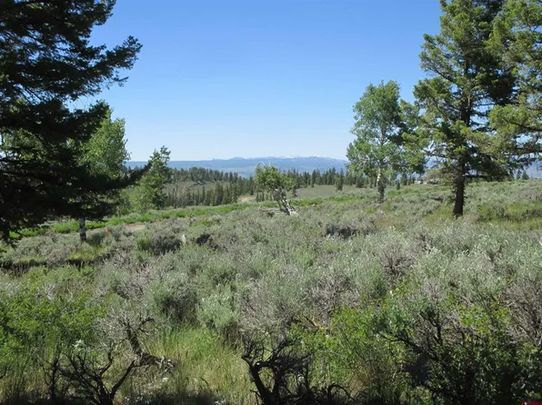 562 Castle Circle, Powderhorn, CO 81243