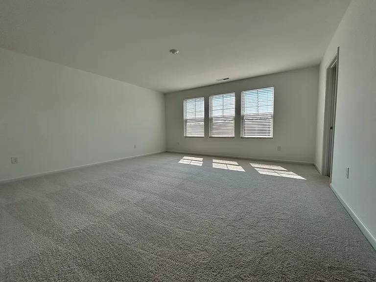 709 Painted Daisy Ln — Photo 19