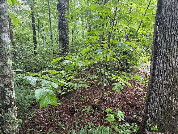 5th image of 14 Cedar Hill Rd