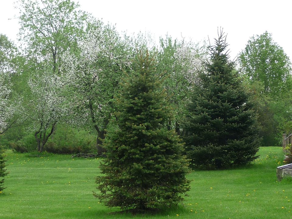 2nd image of 11756 Lyons Corners Rd