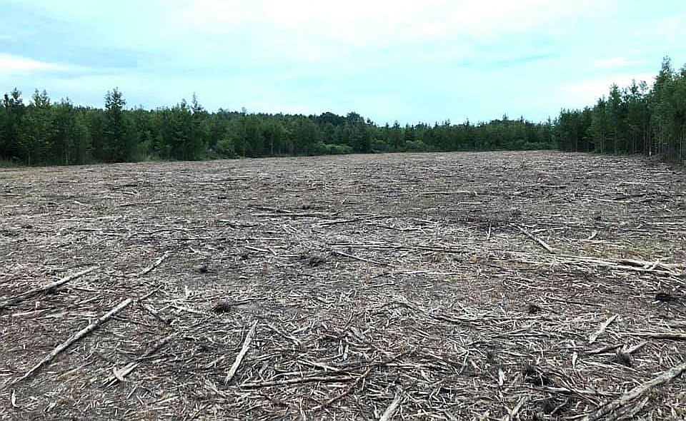 Cleared for house and shop